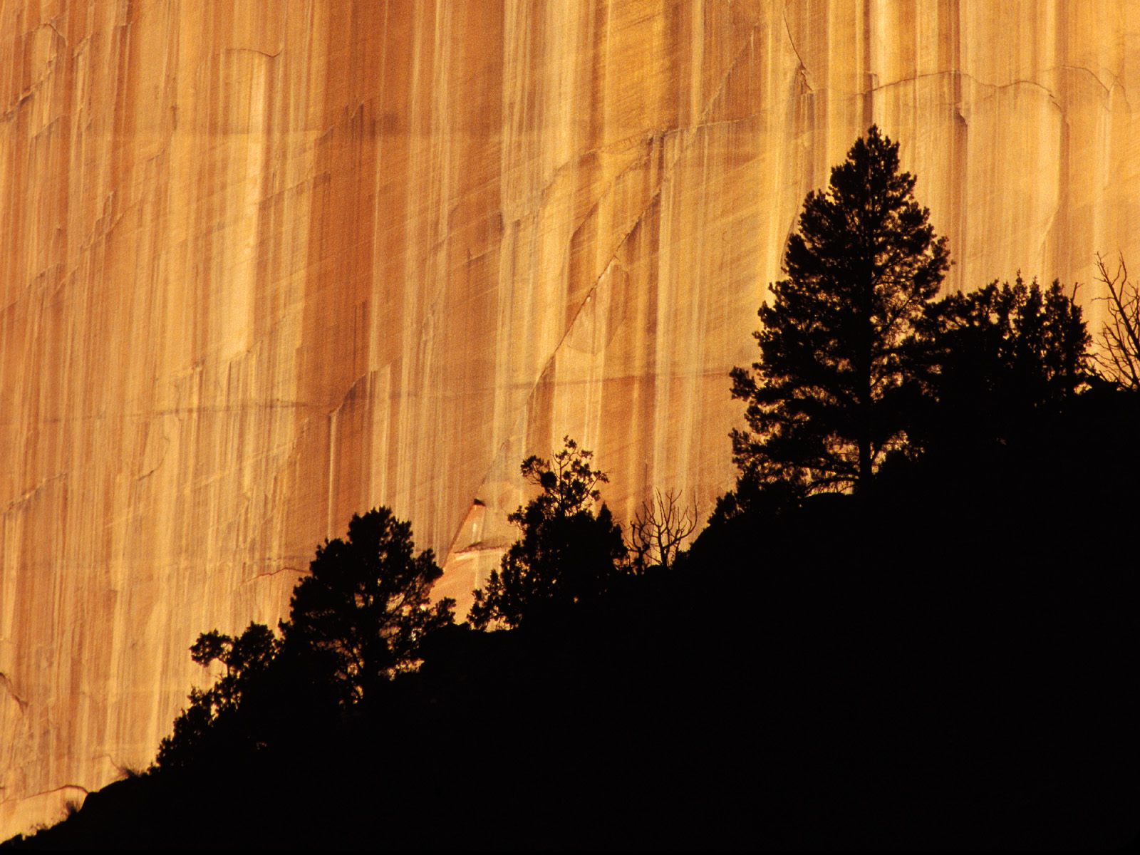 Zion National Park